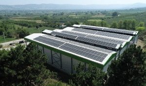 enerjisini-gunesten-alan-tesis-u9bje9uc.jpg