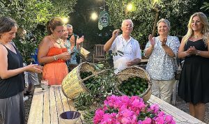 pernod-ricard-ve-bodrum-mandalin-hareketinden-yesil-bodrum-mandalini-icin-is-birligi-hCUKjgmg.jpg