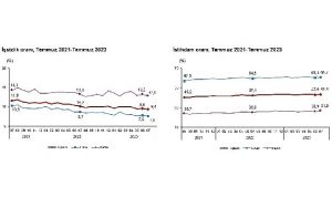 mevsim-etkisinden-arindirilmis-issizlik-orani-yuzde-94-seviyesinde-gerceklesti-9Xqq6NGh.jpg