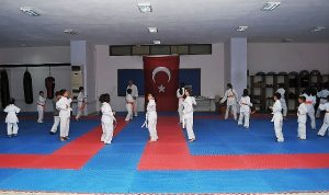 kemer-belediyesi-karateciler-kusak-atladi-YBfU7rlY.jpg