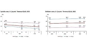 mevsim-etkisinden-arindirilmis-issizlik-orani-yuzde-92-seviyesinde-gerceklesti-M8lTOb57.jpg