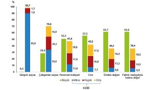 kucuk-ve-orta-buyuklukteki-girisim-istatistikleri-2022-7uQhvXwW.jpg