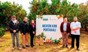 metro-turkiye-cografi-isaret-tesciline-aday-mersin-kan-portakalinin-izinde-BlNDGtkF.jpg