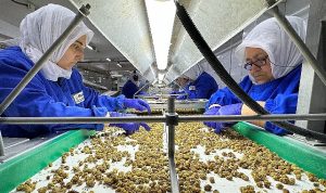 turkiye-organik-urun-ihracatinda-1-milyar-dolar-sinirini-asti-yeni-ihracat-hedefi-2-milyar-9iDGyrJZ.jpg