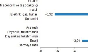 yurt-ici-uretici-fiyat-endeksi-ocak-2024-LDBDaTXI.jpg