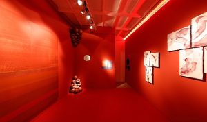 tam-mat-renkler-nippon-paintin-yeni-serisi-deepmattta-3hRvLdIs.jpg