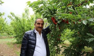 kiraz-hasat-senligine-gencler-enerji-katti-6yNRaVQa.jpg
