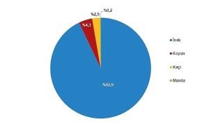 tuik-cig-sut-uretimi-2023-yilinda-04-azalarak-21-milyon-481-bin-567-ton-GIHFWhTa.jpg