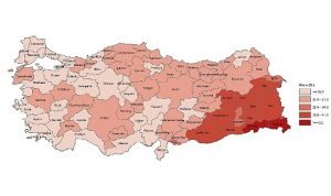 tuik-yuksekogretim-mezunlarinin-orani-25-yas-ve-uzeri-nufusta-246-oldu-mJEk7bfk.jpg
