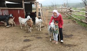 uretici-cansu-bicer-herkes-topragina-sahip-cikmali-xhrgywDm.jpg
