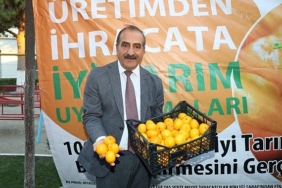 satsuma-mandalina-yuklu-tirlar-ihracata-yolcu-edildi.jpg
