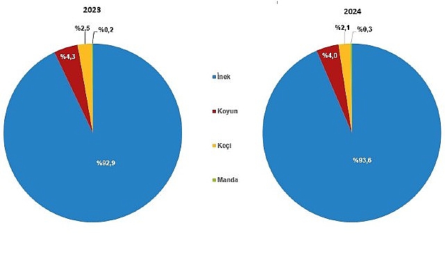 cig-sut-uretim-istatistikleri-2024.jpg