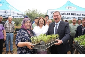 milas-belediyesi-ata-tohumlarini-yasatmak-icin-ureticilere-fide-dagitimi-gerceklestirdi.jpg