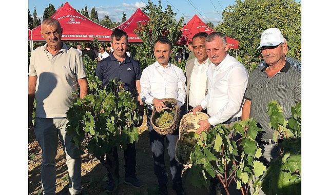 baskan-buyukakin-izmitte-uzum-hasadina-katildi.jpg
