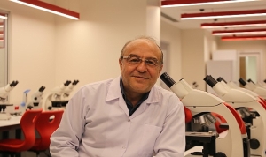 pestisitler-ari-nufusunu-da-tehdit-ediyor-arilarin-yok-olusu-zincirleme-bir-cokuse-sebep-olur.jpg