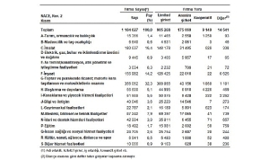 sektor-bilancolari-2024.jpg