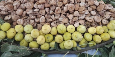 turk-kuru-incir-ihracatcilarindan-avrupa-birligine-kuru-incirde-ev-odevimizi-yapiyoruz-mesaji.jpg